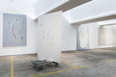 <em>labo(rat)ori</em>, 200 x 135 cm, 185 x 130 cm, acrylic, lacquer, spray-paint, PE film on canvas, installation view PMAM, London 2017