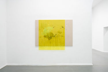<em>thirdness</em> 130 x 185 cm, acrylic, lacquer, spray-paint, PE film on canvas, installation view Kunstquartier Bethanien, Berlin 2017, photo: Henrik Strömberg