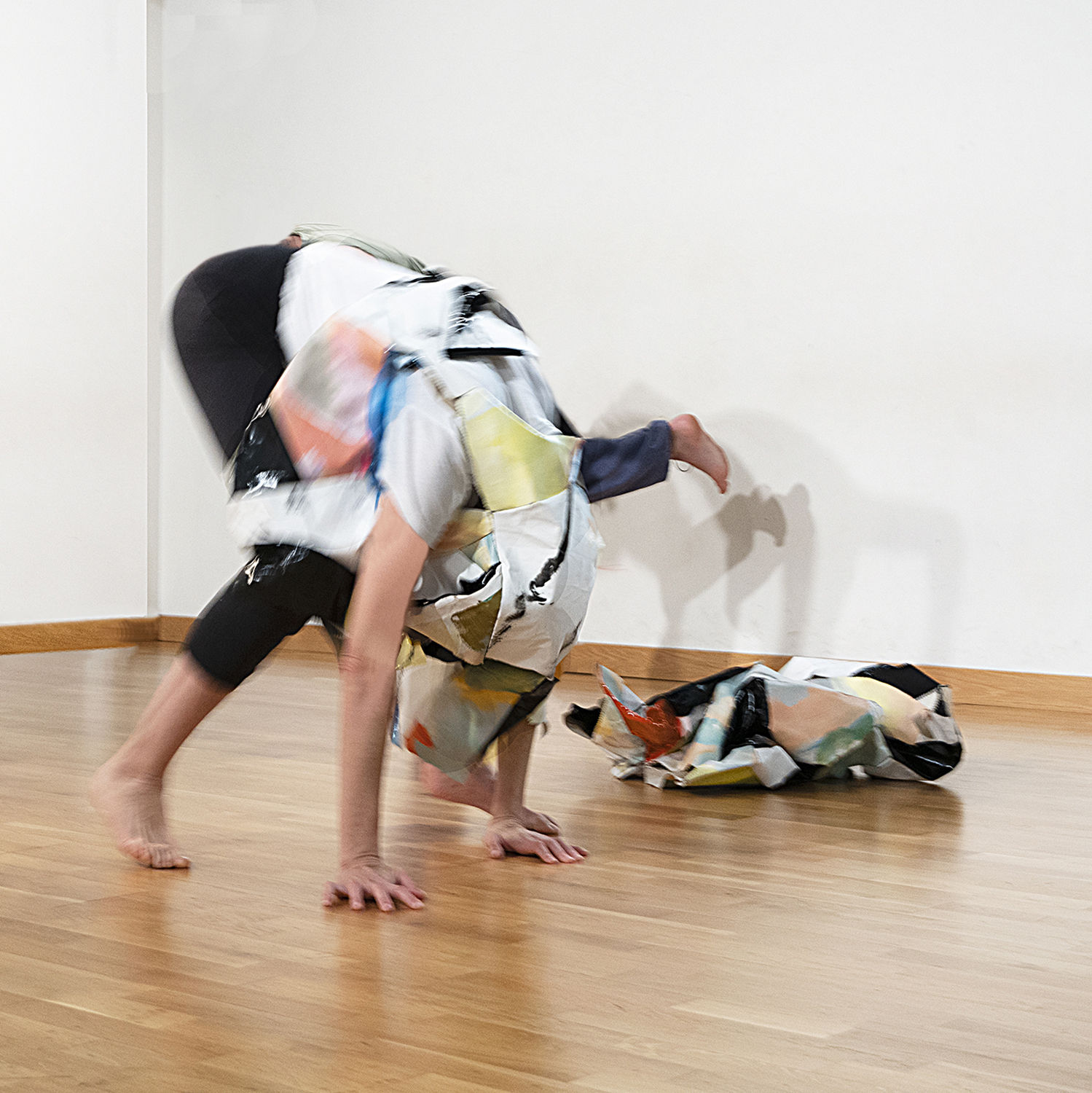 Hibernating Hermit Crabs