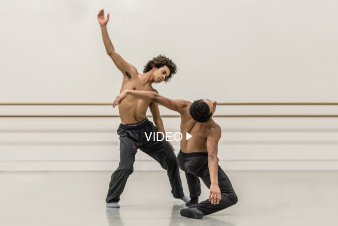 Michaela Zimmer & Miguel Altunaga: Labo(rat)ori